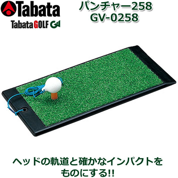907円 独特な Tabata タバタ ゴルフ 練習用品 練習器具 アプローチ練習 パッとアプローチ GV0881